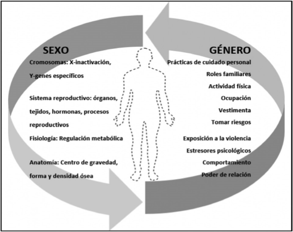 Diferencia Entre G Nero Y Sexo Qu Distingue A Cada Uno