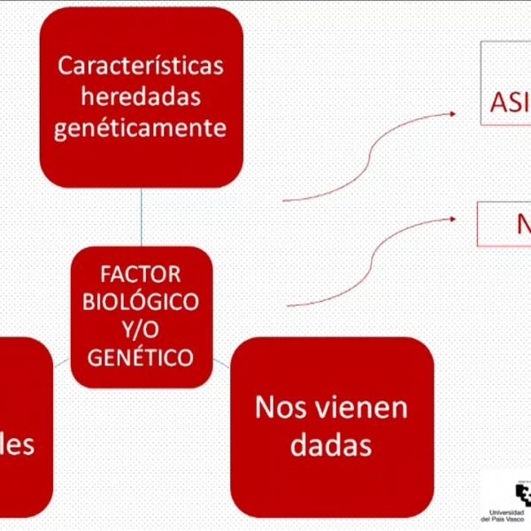 Factores que influyen en mi identidad: una perspectiva introspectiva