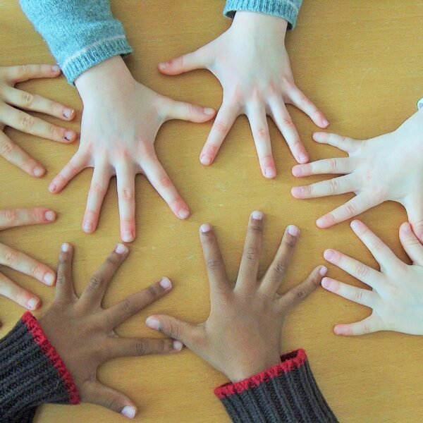 La formación de la identidad racial: factores, procesos y desafíos